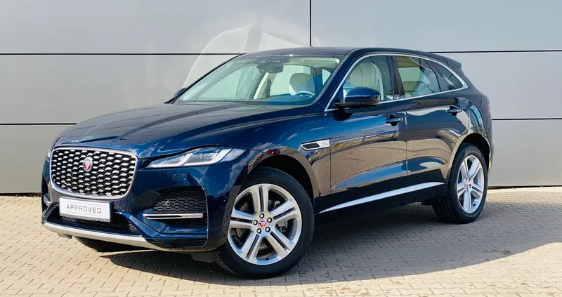 jaguar f-pace Jaguar F-Pace cena 289000 przebieg: 3000, rok produkcji 2023 z Krynki